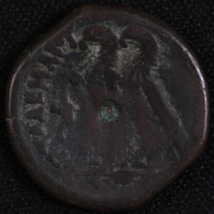 Ancient Greek Ptolemaic Coin Ptolemy VI & Ptolemy VIII 170-163 BC AE20 - Image 3