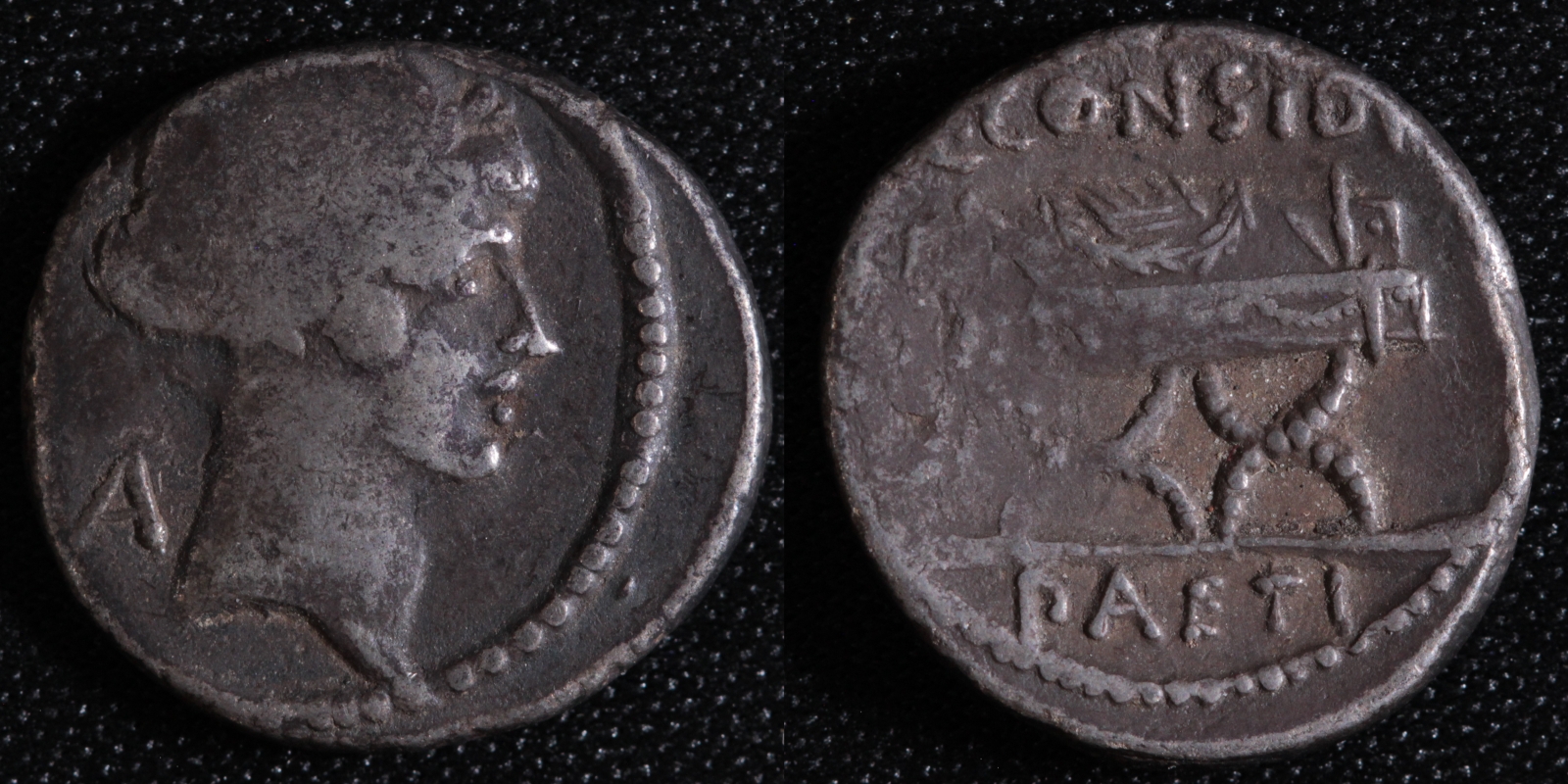 Ancient Roman Republican Silver Coin C. Considius Paetus 46 BC AR Denarius