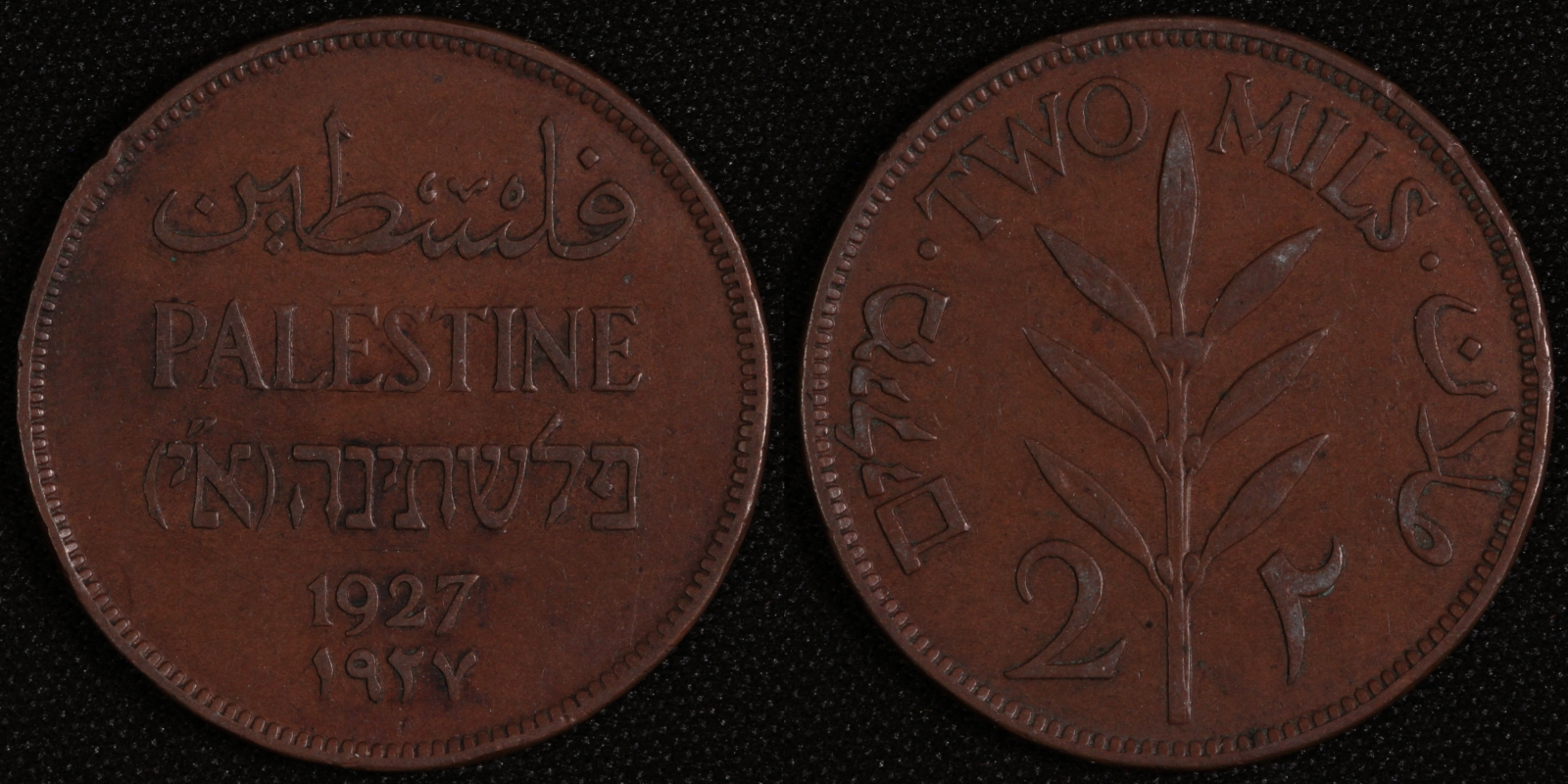 Palestine Coin...
</p>
 … <a title=