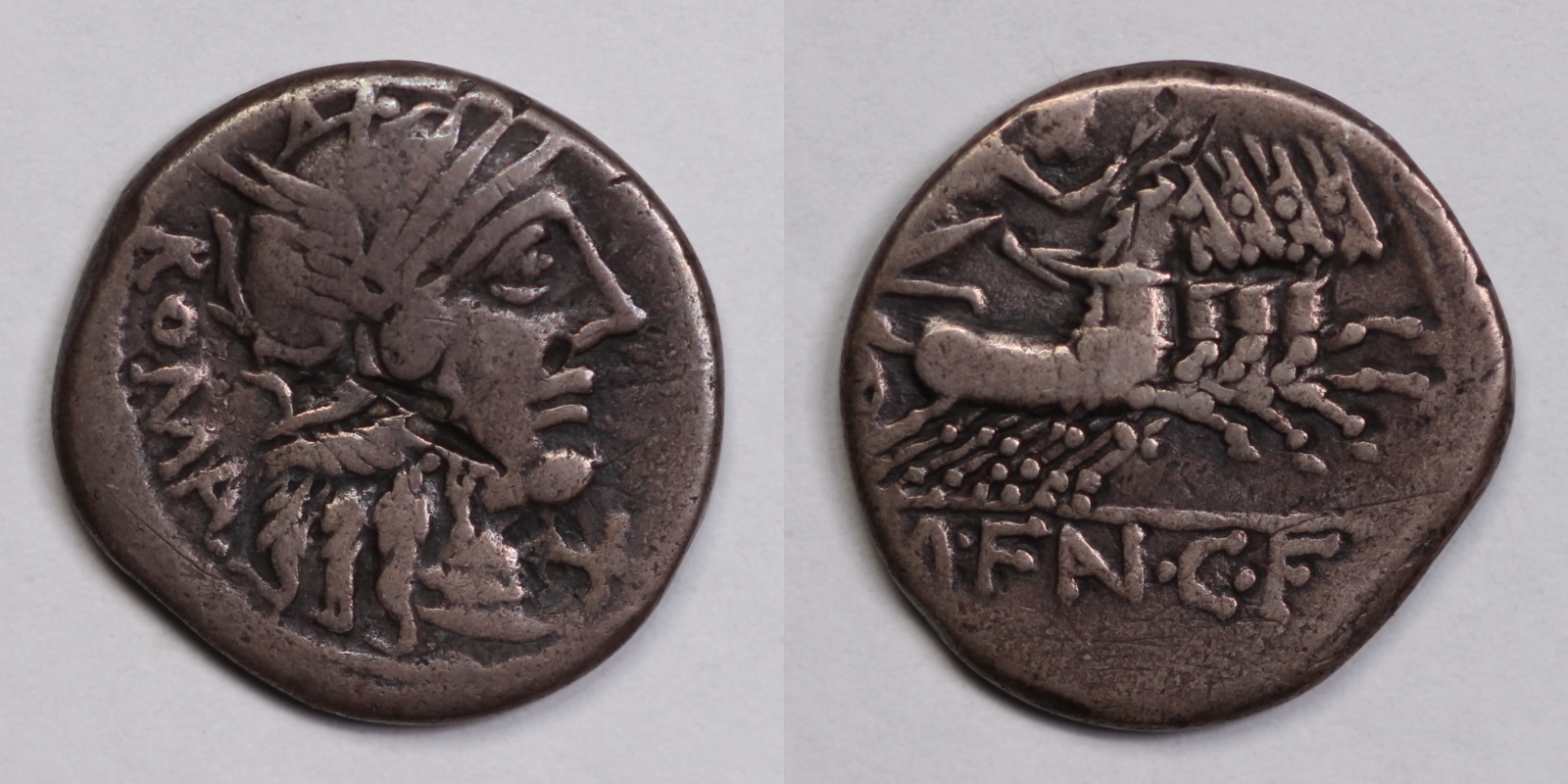 Fannius Syd419