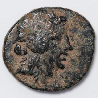 Ancient Greek Coin Pontos Amisos Mithradates VI 85-65 BC Æ Dionysos/Thyrsos - Image 2
