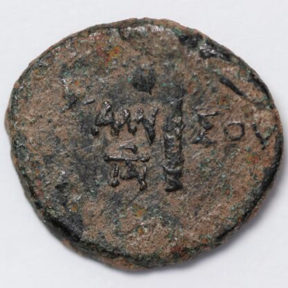 Ancient Greek Coin Pontos Amisos Mithradates VI 85-65 BC Æ Dionysos/Thyrsos - Image 3