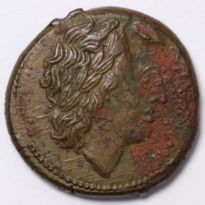Ancient Greek Coin Sicily Syracuse Hiketas II 287-278 BC Æ Zeus Hellanios/Eagle - Image 2