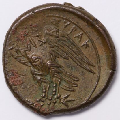 Ancient Greek Coin Sicily Syracuse Hiketas II 287-278 BC Æ Zeus Hellanios/Eagle - Image 3
