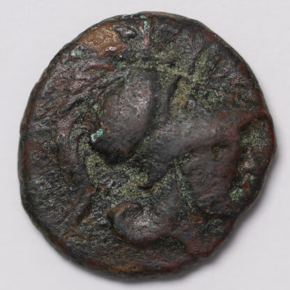 Ancient Greek Coin Lokris Lokri Opuntii Circa 325-300 BC Æ Athena / Grape Bunch - Image 2