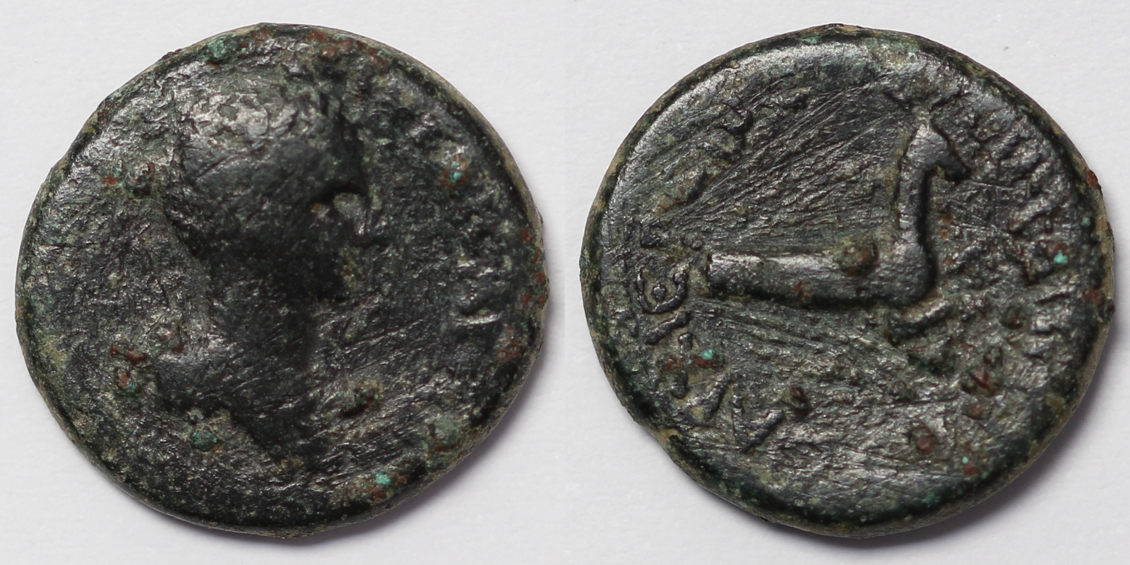 Hierocaesarea Artemis Stag