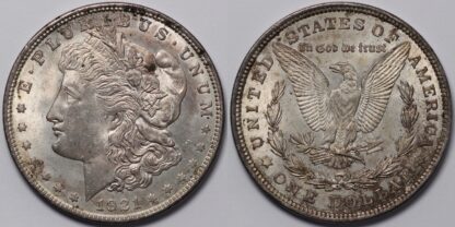 1921 Morgan Dollar