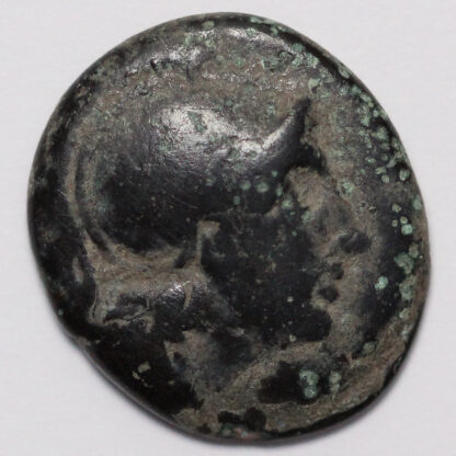 Ancient Greek Coin Kings of Thrace Lysimachos 305-281 BC Æ Athena/Leaping Lion - Image 2