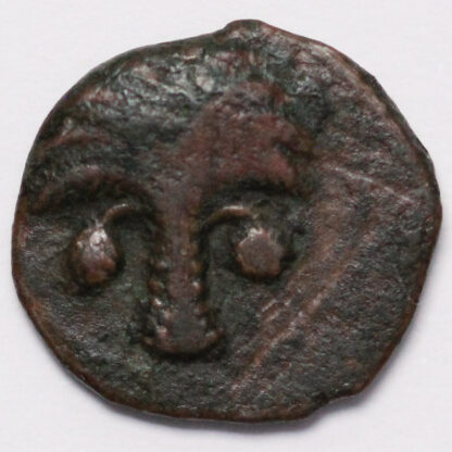 Ancient Greek Coin North Africa Carthage Sicilian Mint 330-320 BC Æ Palm/Pegasos - Image 2