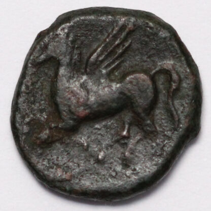 Ancient Greek Coin North Africa Carthage Sicilian Mint 330-320 BC Æ Palm/Pegasos - Image 3