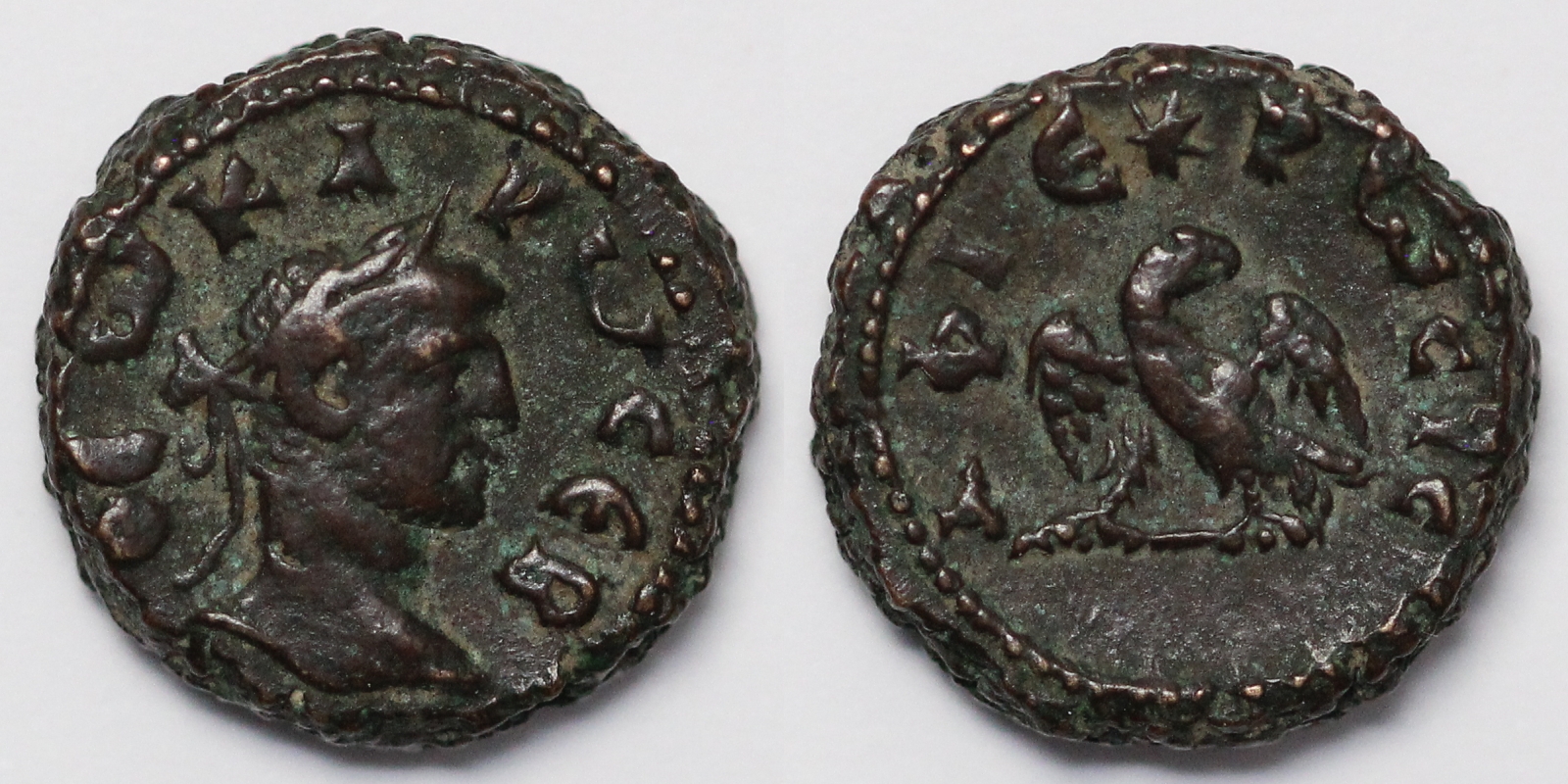 Alexandria Divus Carus Tetradrachm