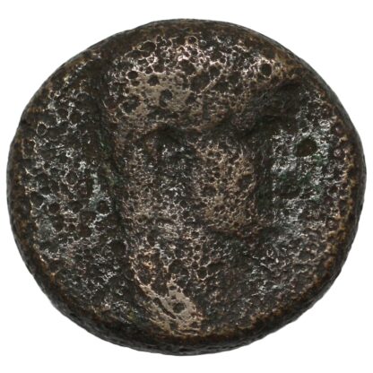 Ancient Roman Provincial Seleucis & Pieria Antioch Claudius Æ AD 41-54 SC Wreath - Image 2