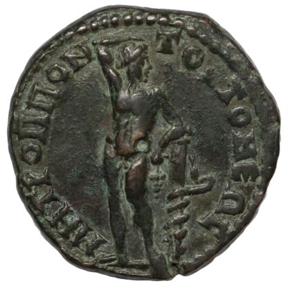 Ancient Roman Provincial Moesia Inf Tomis Philip II Caesar AD 244-247 Æ Dionysos - Image 3