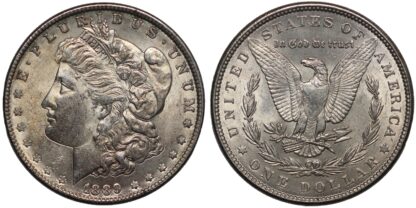 1889 Morgan