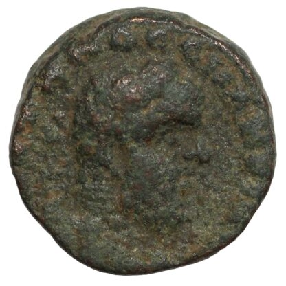 Ancient Roman Provincial Coin Antioch Macrinus AD 217-218 Æ SC Wreath - Image 2