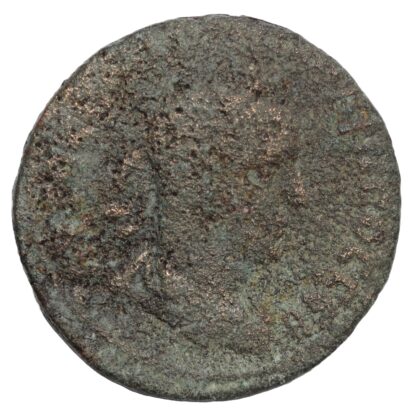 Ancient Roman Provincial Seleucis & Pieria Antioch Philip I Æ AD 244-9 Tyche - Image 2