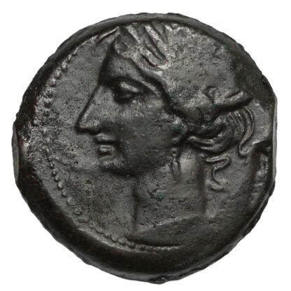 Ancient Greek Coin Carthage Second Punic War Æ Shekel Circa 220-215 BC - Rare - Image 2