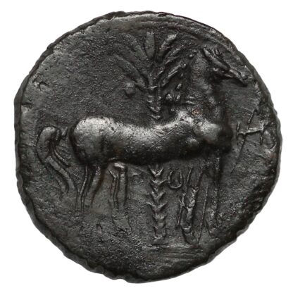 Ancient Greek Coin Carthage Second Punic War Æ Shekel Circa 220-215 BC - Rare - Image 3