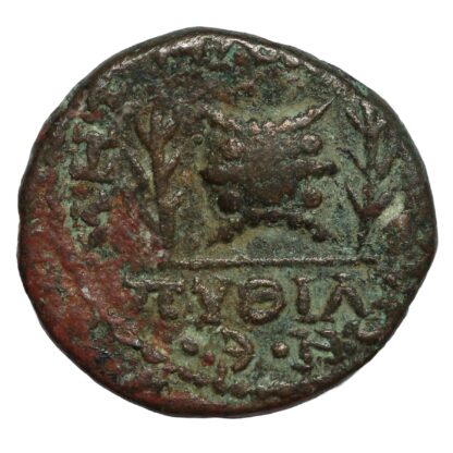 Ancient Roman Provincial Seleucis & Pieria Emesa Elagabalus AD 218-222 Æ Crown - Image 3