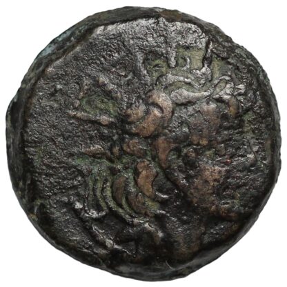 Ancient Greek Seleukid Coin Alexander II Zabinas Æ 128-122 BC Crossed Cornucopia - Image 2
