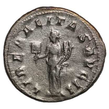 Ancient Roman Imperial Silver Coin Gordian AR Antoninianus AD 240 Liberalitas - Image 3