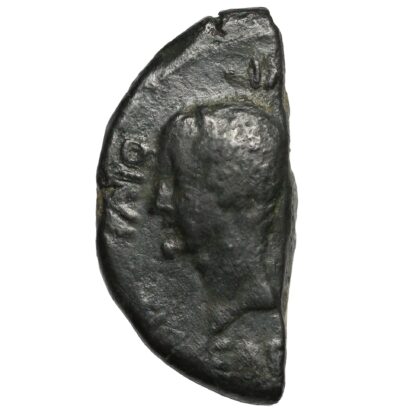 Ancient Roman Provincial Gaul Octavian & Divus Julius Caesar Æ Halved Dupondius - Image 2