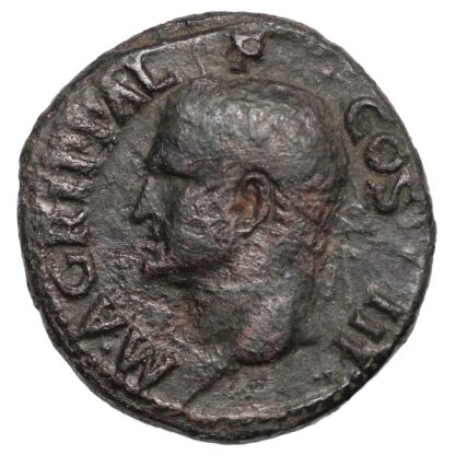 Ancient Roman Imperial Coin Agrippa Æ As AD 37-41 Rome Mint Neptune - Image 2